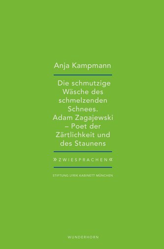 Die schmutzige Wäsche des schmelzenden Schnees