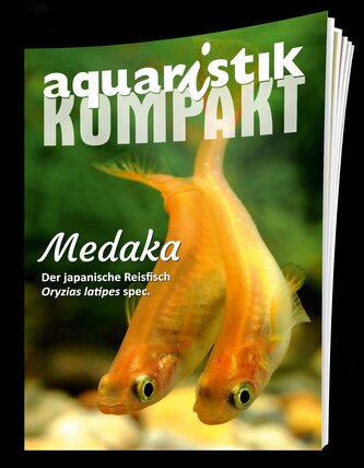 Medaka - aquaristik KOMPAKT