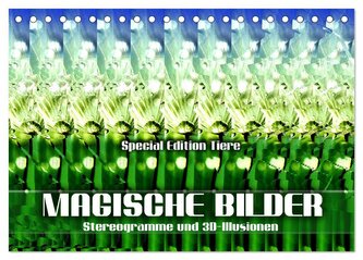 Magische Bilder - Stereogramme und 3D-Illusionen (Tischkalender 2024 DIN A5 quer), CALVENDO Monatskalender