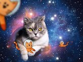RAVENSBURGER Puzzle Kočky ve vesmíru 1500 dílků