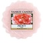 Yankee Candle Vonný vosk do aromalampy Pivoňka (Peony) 22 g unisex