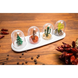 Kořenky čtvero ročních období - průhledné