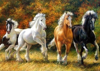 Norimpex Diamantové malování Čtyři cválající koně 30x40cm