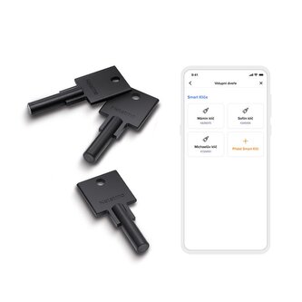 Netatmo Doorlock kit 3 keys