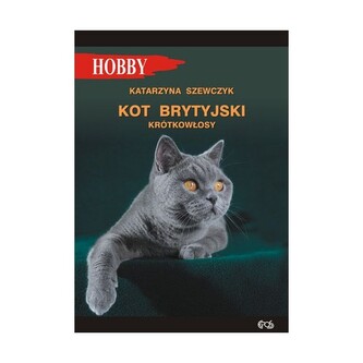 Kot brytyjski krótkowłosy