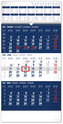Kalendář 2025 nástěnný: 3měsíční standard modrý - s ročním přehledem, 29,5 × 43 cm