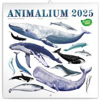 Kalendář 2025 poznámkový: Animalium, 30 × 30 cm