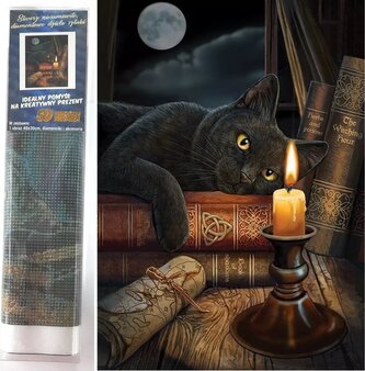 Norimpex Diamantové malování Čarodějnická hodina 30x40cm