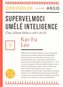 Supervelmoci v oblasti umělé inteligence