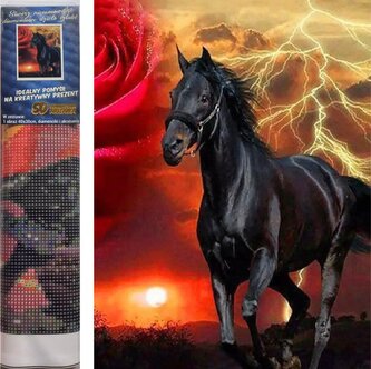 Norimpex Diamantové malování Černý hřebec 30x40cm