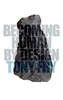 Becoming Human by Design