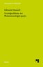 Grundprobleme der Phänomenologie 1910/11