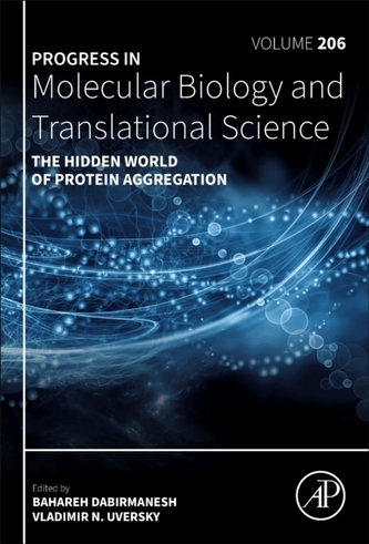 The Hidden World of Protein Aggregation