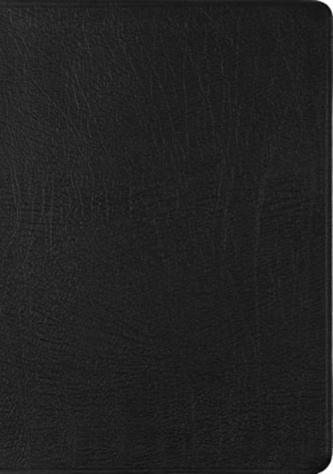 ESV New Testament with Psalms and Proverbs