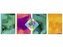 Zeszyt A5/60K linia Holographic (10szt) ASTRA