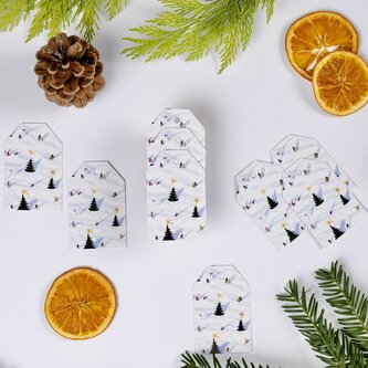 Be Nice vánoční jmenovky Zimní radovánky 9ks