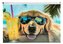 Koperta A4 PP z nadrukiem zip Chillout Dog