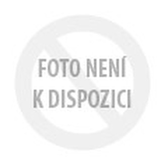 Léčivá síla imaginace - Terapeutická práce s následky traumat