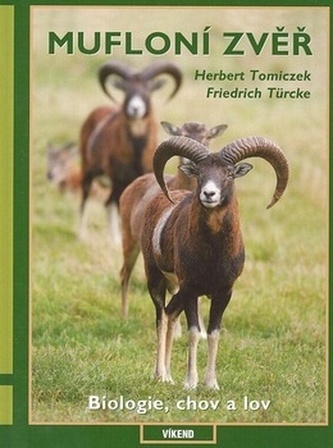 Mufloní zvěř