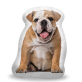 3D polštář ve tvaru Anglický bulldog