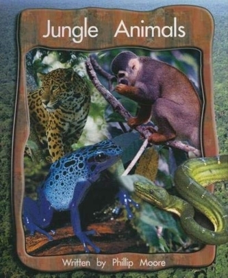 Springboard Lvl 6b: Jungle Animals