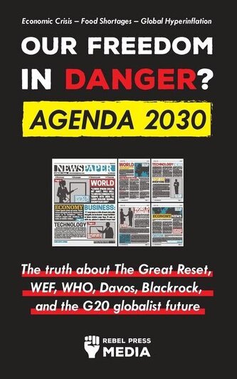 Our Future in Danger? Agenda 2030: The truth about The Great Reset, WEF, WHO, Davos, Blackrock, and the G20 globalist future Eco