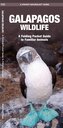 Galapagos Wildlife