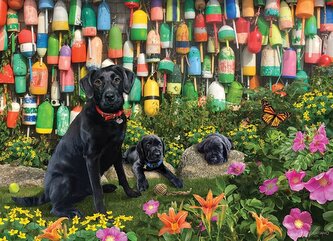 COBBLE HILL Puzzle Hodní kluci 500 dílků