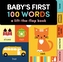Baby's First 100 Words