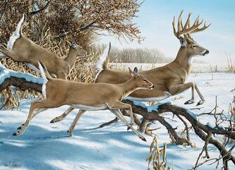 COBBLE HILL Puzzle Útěk 1000 dílků