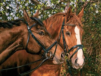 COBBLE HILL Puzzle Přátelé navždy XL 275 dílků