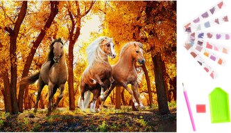 KIK Diamantové malování Běžící koně 40x30cm