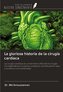 La gloriosa historia de la cirugía cardíaca