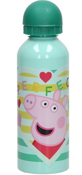 Hliníková láhev na pití Paw Patrol|Tlapková patrola: Perfektní (objem 500 ml)