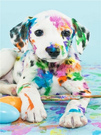 Diamantový obrázek -Barevný pejsek 30x40cm