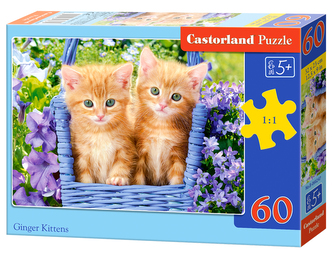 CASTORLAND Puzzle Zrzavá koťátka 60 dílků