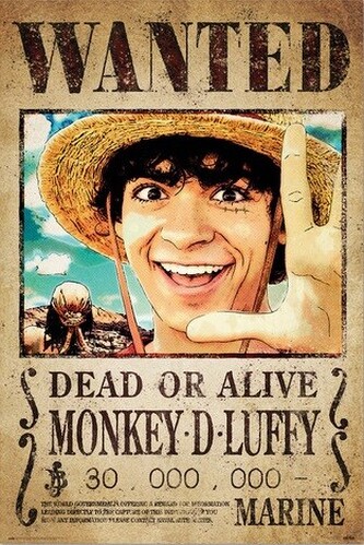 Plakát, Obraz - One Piece - Wanted Monkey D. Luffy, 61 × 91.5 cm