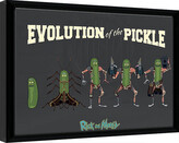 Obraz na zeď - Rick & Morty - Evolution Of The Pickle, 40 × 30 cm