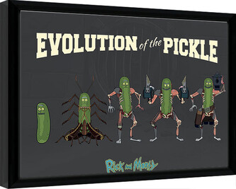 Obraz na zeď - Rick & Morty - Evolution Of The Pickle, 40 × 30 cm