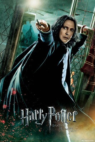 Plakát, Obraz - Harry Potter - Severus Snape, 61 × 91.5 cm