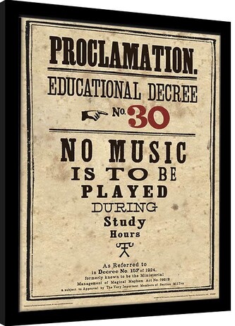 Obraz na zeď - Harry Potter - Educational Decree No. 30, 30 × 40 cm