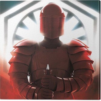 Obraz na plátně Star Wars The Last Jedi - Elite Guard Defend, 2 - 40×40 cm