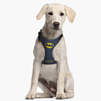 Kšíry Kšíry Batman, XS/S