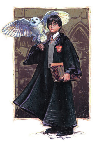 Umělecký tisk Harry Potter with Hedvig - Art, 26.7 × 40 cm