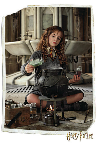 Umělecký tisk Harry Potter - Hermione Granger, 26.7 × 40 cm