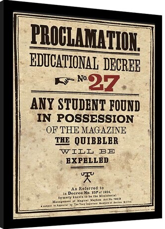 Obraz na zeď - Harry Potter - Educational Decree No. 27, 30 × 40 cm