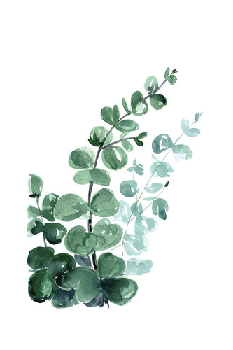 Plakát, Obraz - Blursbyai - Watercolour eucalyptus, 40 × 60 cm