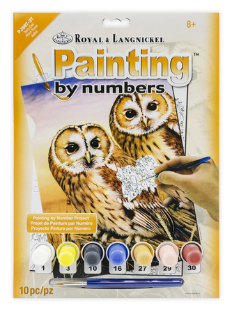 Malování podle čísel 22x30 cm - Sovy