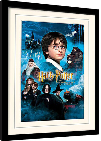 Obraz na zeď - Harry Potter - Kámen Mudrců, 30 × 40 cm