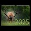 Faszination Natur Kalender 2025